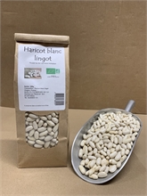 Haricots lingots blancs